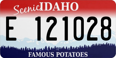 ID license plate E121028