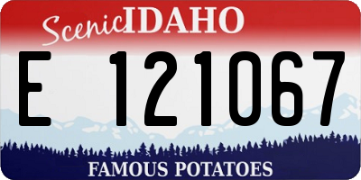 ID license plate E121067