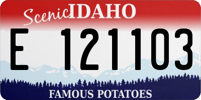 ID license plate E121103