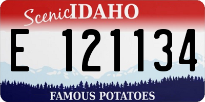 ID license plate E121134