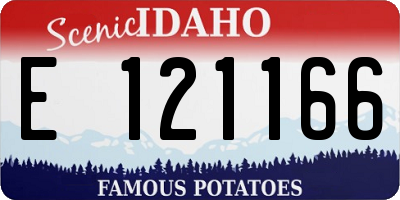 ID license plate E121166