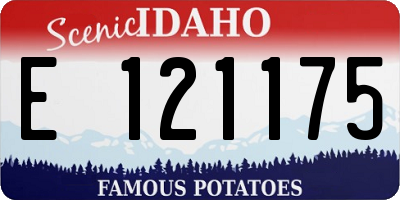 ID license plate E121175