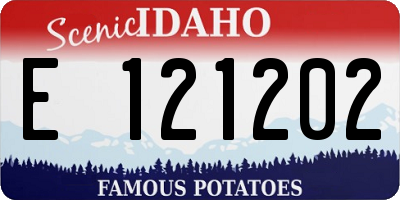 ID license plate E121202