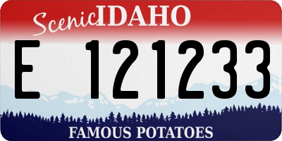 ID license plate E121233
