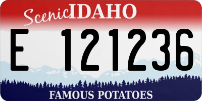 ID license plate E121236