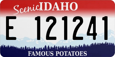 ID license plate E121241