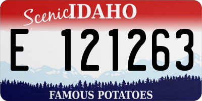 ID license plate E121263