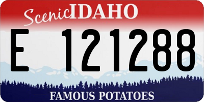 ID license plate E121288
