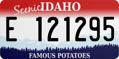 ID license plate E121295