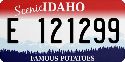 ID license plate E121299