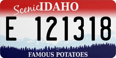 ID license plate E121318