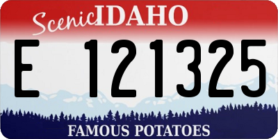 ID license plate E121325