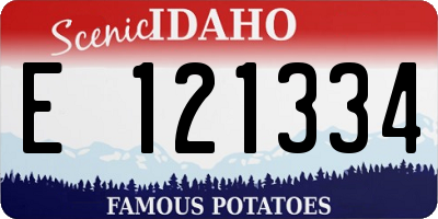 ID license plate E121334