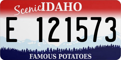ID license plate E121573