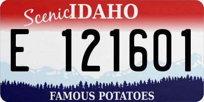 ID license plate E121601