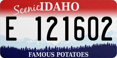 ID license plate E121602