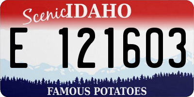 ID license plate E121603
