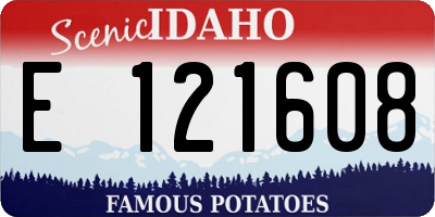 ID license plate E121608