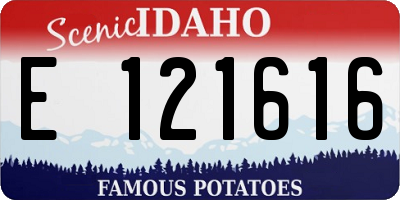 ID license plate E121616