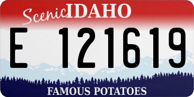 ID license plate E121619