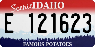ID license plate E121623