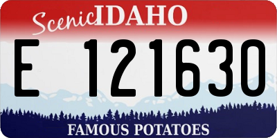 ID license plate E121630