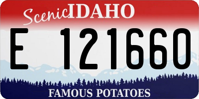 ID license plate E121660