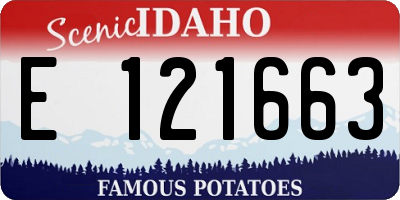 ID license plate E121663