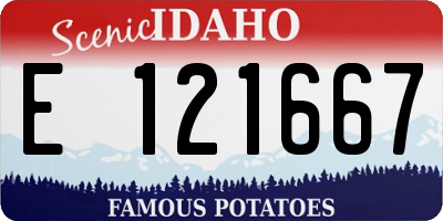 ID license plate E121667