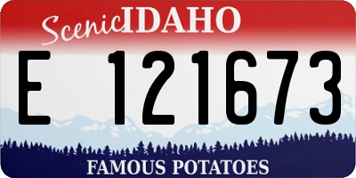 ID license plate E121673