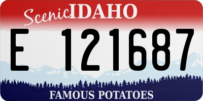 ID license plate E121687