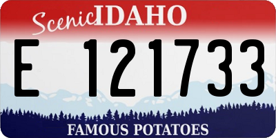 ID license plate E121733
