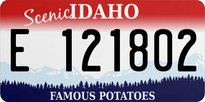 ID license plate E121802