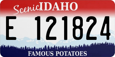 ID license plate E121824