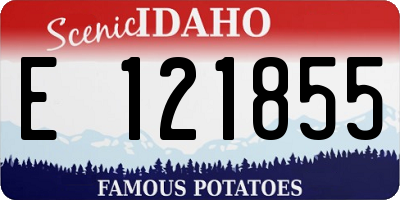 ID license plate E121855