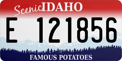 ID license plate E121856