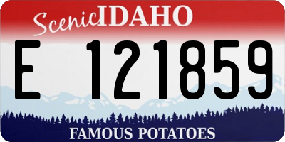 ID license plate E121859
