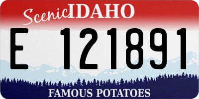 ID license plate E121891