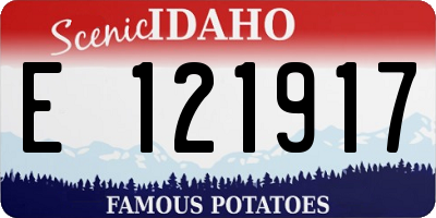 ID license plate E121917