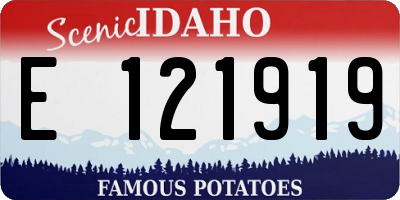 ID license plate E121919