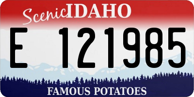 ID license plate E121985