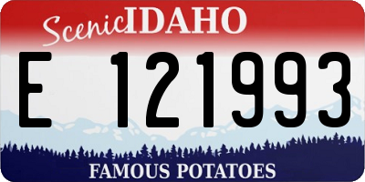 ID license plate E121993