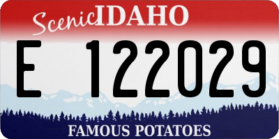 ID license plate E122029