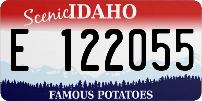 ID license plate E122055