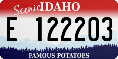 ID license plate E122203