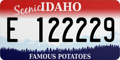 ID license plate E122229