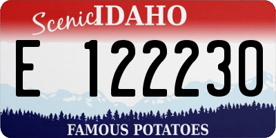 ID license plate E122230