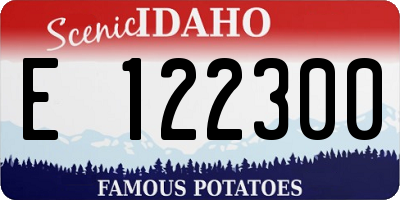 ID license plate E122300