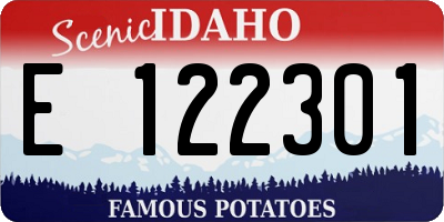 ID license plate E122301