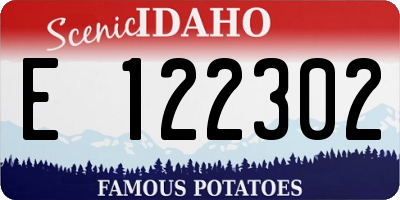 ID license plate E122302